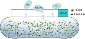 兼氧膜生物反應器技術